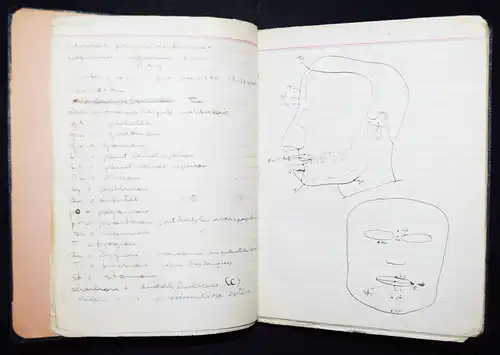 TÜRKISCHE HANDSCHRIFT ZAHNMEDIZIN 1953 - Gemici, Ortodonti Notlari 
