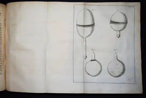 Musschenbroek, Tentamina experimentorum 1731 PHYSICS ELECTRICITY MAGNETISM