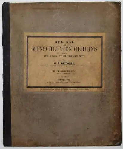 Reichert, Der Bau des menschlichen Gehirns  - 1859 - ANATOMIE