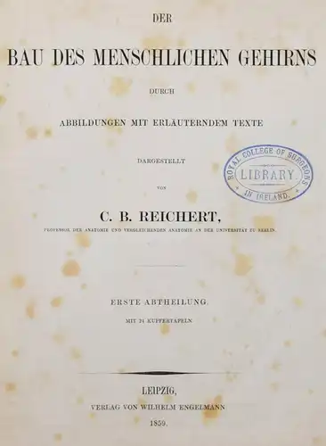 Reichert, Der Bau des menschlichen Gehirns  - 1859 - ANATOMIE