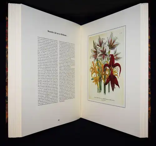 Schubert, The Ladies’ Flowergarden. Battenberg 1981 - FOLIO-HALBLEDER BLUMEN