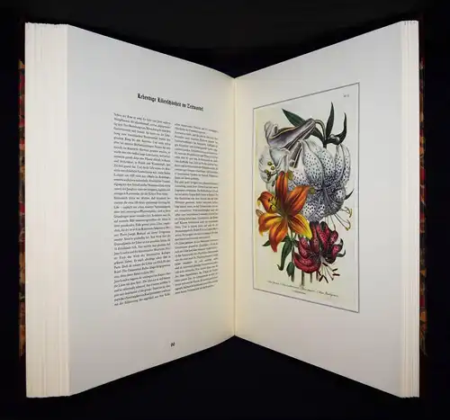 Schubert, The Ladies’ Flowergarden. Battenberg 1981 - FOLIO-HALBLEDER BLUMEN