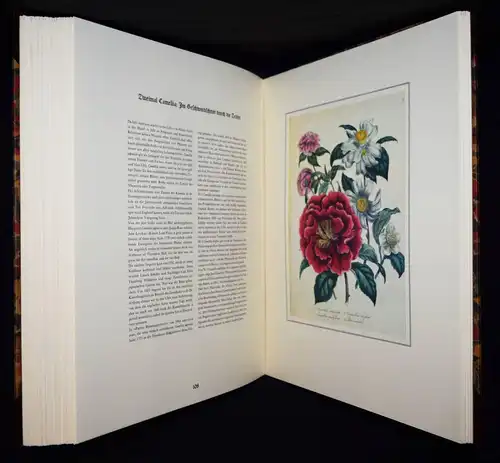 Schubert, The Ladies’ Flowergarden. Battenberg 1981 - FOLIO-HALBLEDER BLUMEN