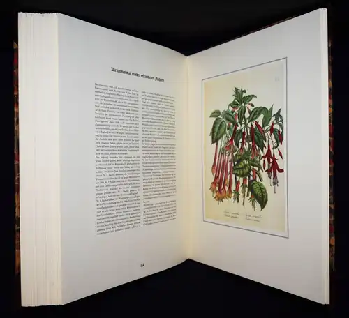 Schubert, The Ladies’ Flowergarden. Battenberg 1981 - FOLIO-HALBLEDER BLUMEN