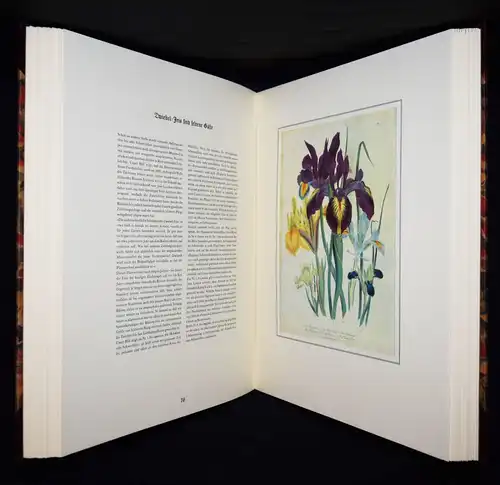 Schubert, The Ladies’ Flowergarden. Battenberg 1981 - FOLIO-HALBLEDER BLUMEN