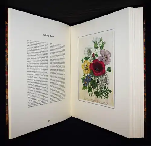 Schubert, The Ladies’ Flowergarden. Battenberg 1981 - FOLIO-HALBLEDER BLUMEN