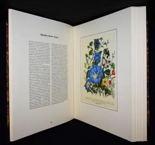 Schubert, The Ladies’ Flowergarden. Battenberg 1981 - FOLIO-HALBLEDER BLUMEN