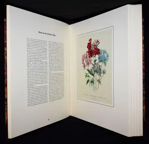 Schubert, The Ladies’ Flowergarden. Battenberg 1981 - FOLIO-HALBLEDER BLUMEN