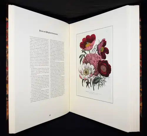 Schubert, The Ladies’ Flowergarden. Battenberg 1981 - FOLIO-HALBLEDER BLUMEN