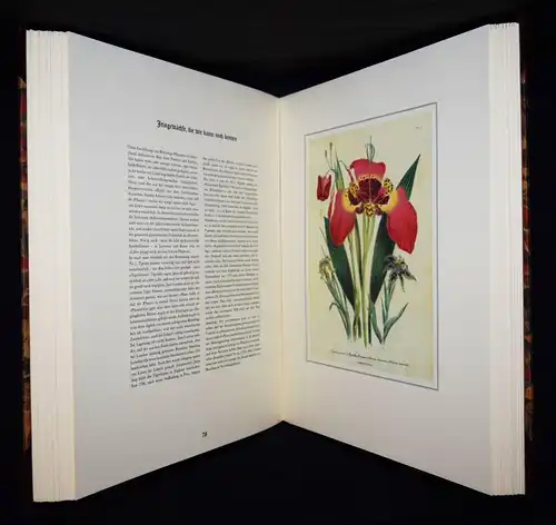 Schubert, The Ladies’ Flowergarden. Battenberg 1981 - FOLIO-HALBLEDER BLUMEN