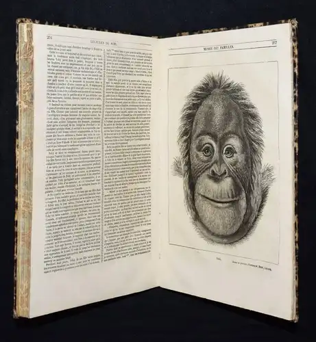 Dumas u. a., Musee des Familles. Lectures du soir 1833-1845 - UNTERHALTUNG