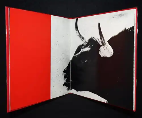 Clergue, Toros Muertos + 3 ORIGINAL-PHOTOGRAPHIEN Bull Fighting Stierkampf