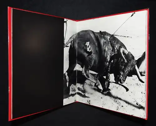Clergue, Toros Muertos + 3 ORIGINAL-PHOTOGRAPHIEN Bull Fighting Stierkampf