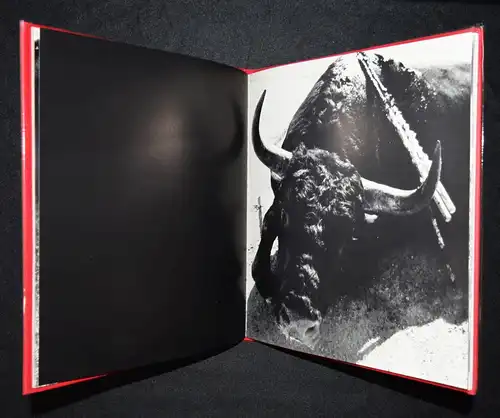 Clergue, Toros Muertos + 3 ORIGINAL-PHOTOGRAPHIEN Bull Fighting Stierkampf