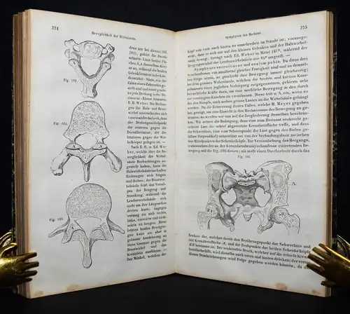 Ludwig, Lehrbuch der Physiologie des Menschen 1852 ERSTE AUSGABE - KÖRPERLEHRE