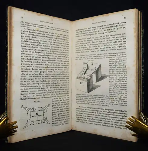 Ludwig, Lehrbuch der Physiologie des Menschen 1852 ERSTE AUSGABE - KÖRPERLEHRE