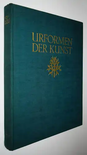 Karl Blossfeldt. Urformen der Kunst. Wasmuth 1929 NEUE SACHLICHKEIT Botanik