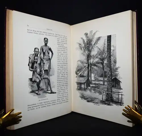 Ward, Fünf Jahre unter den Stämmen des Kongo-Staates - 1891 AFRIKA