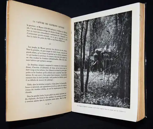 WIDMUNG - Horvat - La capture des elephants sauvages - Erstausgabe 1957 - Indien
