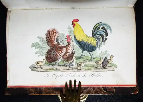 Les petites familles - 1819 SELTENER BIEDERMEIER KINDER-ALMANACH TIERFAMILIEN