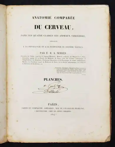 Serre, Anatomie comparee du cerveau - 1824 GEHRIN ANATOMIE NEUROCHIRURGIE