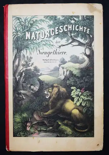 Schubert, Naturgeschichte der Säugethiere in Bildern 1860 ZOOLOGIE BIOLOGIE