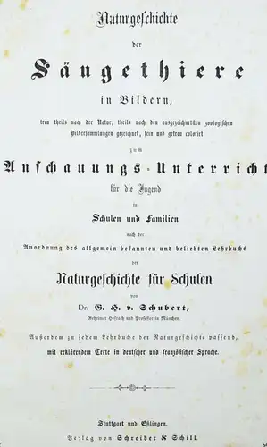 Schubert, Naturgeschichte der Säugethiere in Bildern 1860 ZOOLOGIE BIOLOGIE