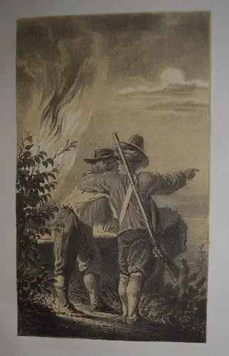 Robinsonade - Hildebrandt. Robinson's Kolonie. Glogau 1865 - Lithographien Tafel