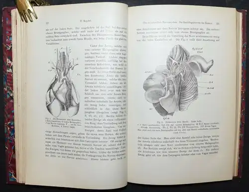 DIE NERVEN DES HERZENS - ELIE DE CYON - 1907 - NEUROLOGIE - KARDIOLOGIE