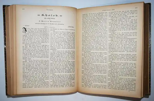 Die Romanwelt. Zeitsschrift für die erzählende Litteratur aller Völker 1895