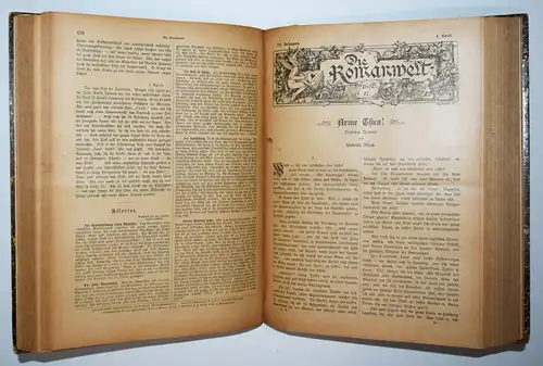 Die Romanwelt. Zeitsschrift für die erzählende Litteratur 1896 Dritter Jahrgang