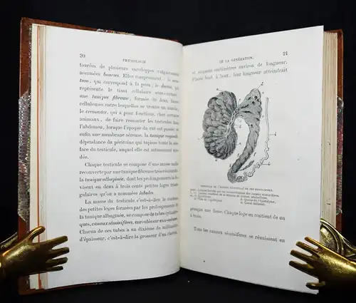 Le Bon, Physiologie de la generation de l’homme et...1868 GYNÄKOLOGIE