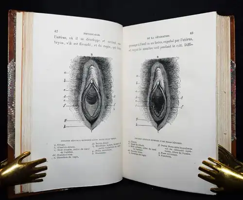 Le Bon, Physiologie de la generation de l’homme et...1868 GYNÄKOLOGIE