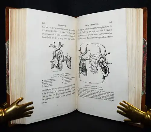 Le Bon, Physiologie de la generation de l’homme et...1868 GYNÄKOLOGIE