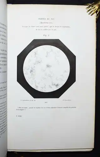 Pasteur, Etudes sur le vin 1873 ÖNOLOGIE WEIN FERMENTATION PASTEURISATION CHEMIE