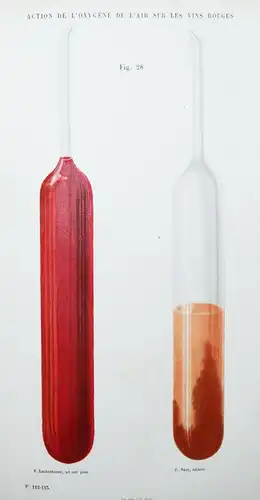 Pasteur, Etudes sur le vin 1873 ÖNOLOGIE WEIN FERMENTATION PASTEURISATION CHEMIE