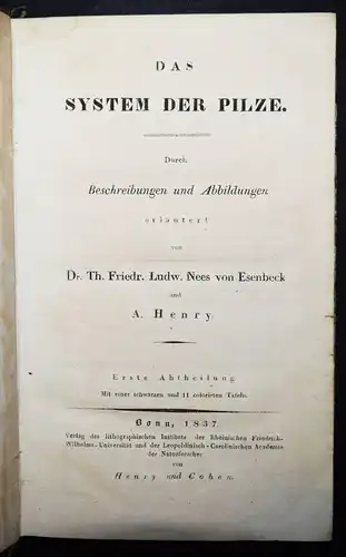 Nees von Esenbeck, Das System der Pilze - 1837 BOTANIK MYKOLOGIE PILZE