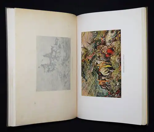 Seyler, Briefe und Bilder. Hugo Schmidt Verlag, 1928 MONOGRAPHIE