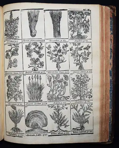 Lemery, Dictionnaire universel des drogues simples 1760 BOTANIQUE BOTANIK BOTANY