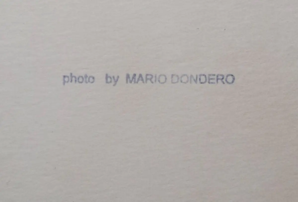 Bachmann, 2 Original-VINTAGE-Portrait-Photographien von Mario Dondero, Rom 1962 3