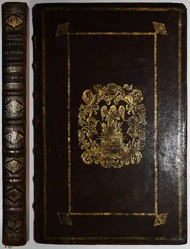 Biblia neerlandica – Historie des Nieuwen Testaments 1700 PRÄCHTIGE FOLIO-BIBEL
