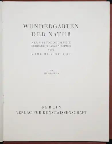 Karl Blossfeldt. Wundergarten der Natur - 1932 SELTENE MAPPENAUSGABE