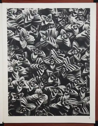 Karl Blossfeldt. Wundergarten der Natur - 1932 SELTENE MAPPENAUSGABE