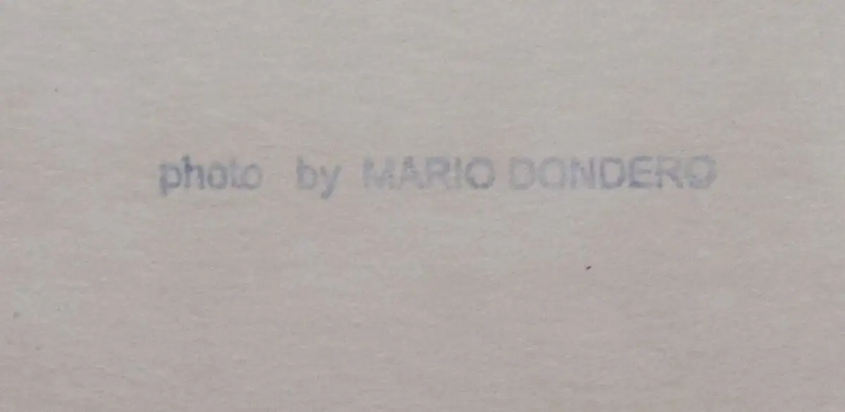 Bachmann, Original-VINTAGE-Portrait-Photographie von Mario Dondero, Rom 1962 1