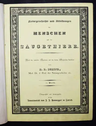 Schinz, Naturgeschichte und Abbildungen der Menschen  ANTHROPOLOGIE ETHNOLOGIE