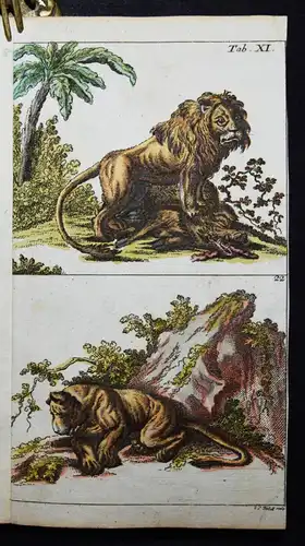 Wilhelm, Naturgeschichte der Säugethiere 1792 VIELE SCHÖNE HANDKOLORIERTE TAFELN