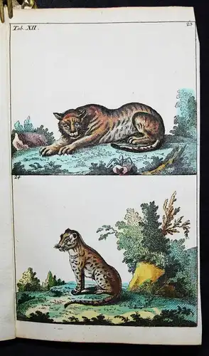 Wilhelm, Naturgeschichte der Säugethiere 1792 VIELE SCHÖNE HANDKOLORIERTE TAFELN