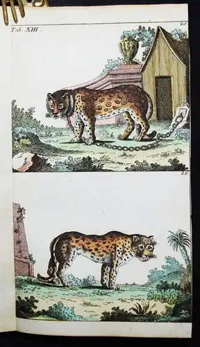 Wilhelm, Naturgeschichte der Säugethiere 1792 VIELE SCHÖNE HANDKOLORIERTE TAFELN