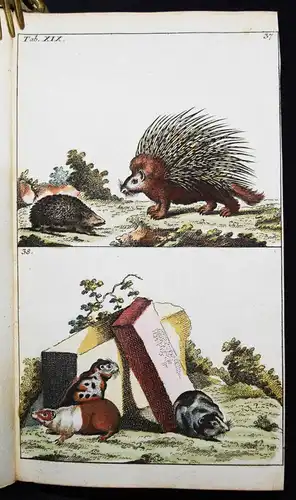 Wilhelm, Naturgeschichte der Säugethiere 1792 VIELE SCHÖNE HANDKOLORIERTE TAFELN