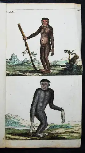 Wilhelm, Naturgeschichte der Säugethiere 1792 VIELE SCHÖNE HANDKOLORIERTE TAFELN